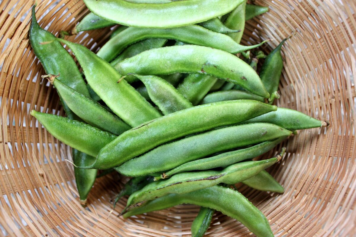 کاربرد گوارگام صنعتی
